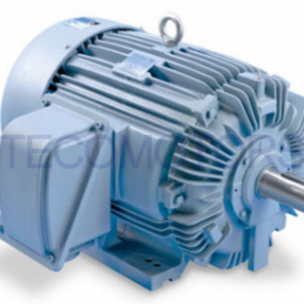 TECO IEEE-841 Motors