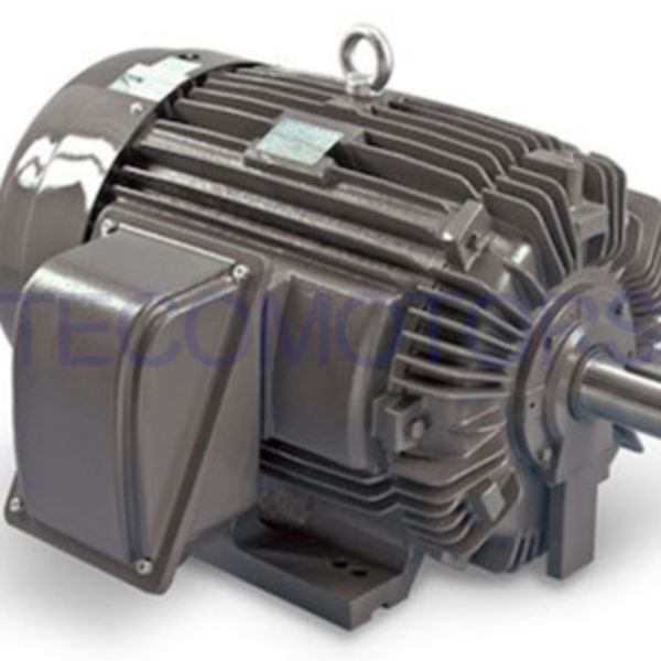 TECO - Nema General Electro Motor